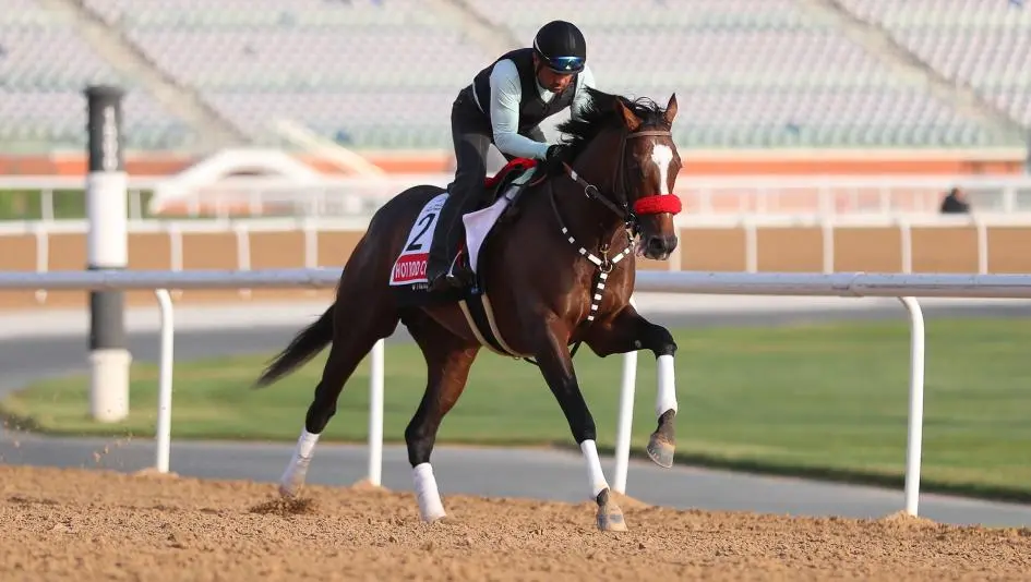 Dubai Racing Carnival